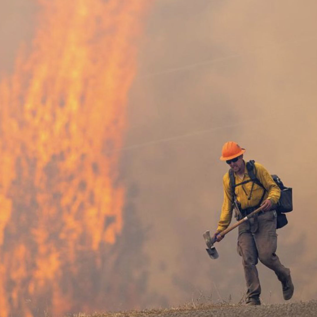 WILDLAND WORK CAPACITY TEST